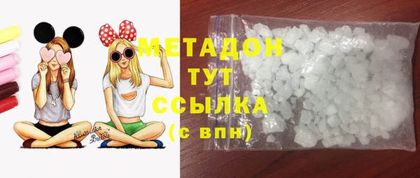 прущие грибы Вязьма