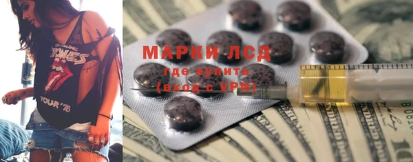 прущие грибы Вязьма