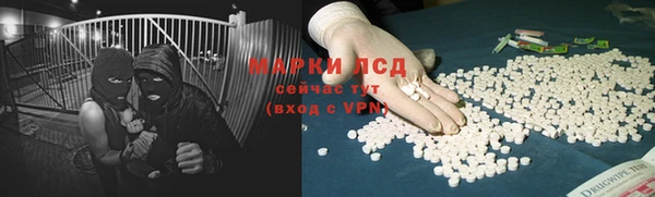 прущие грибы Вязьма