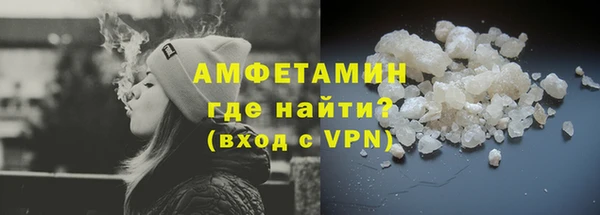 прущие грибы Вязьма