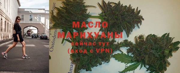 прущие грибы Вязьма