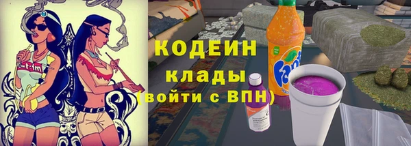 прущие грибы Вязьма