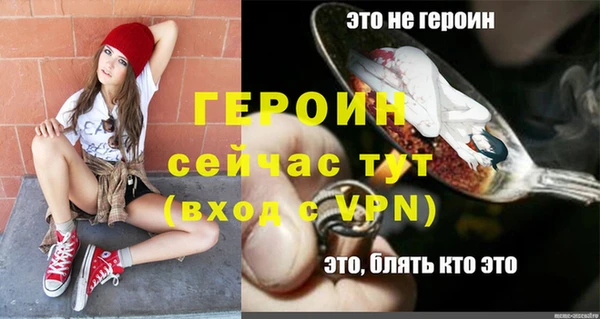 прущие грибы Вязьма