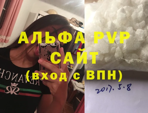 прущие грибы Вязьма