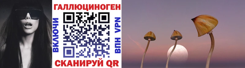Псилоцибиновые грибы прущие грибы  Купить закладки  Невьянск 
